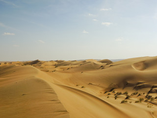 Fototapeta na wymiar Landscape of Empty Quarter, Rub al Khali Desert, Oman