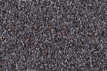 Poppy seeds background