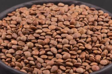 Lentils Isolated on White Background