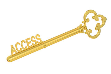 access concept with golden key, 3D rendering