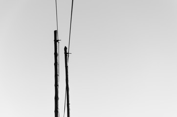 communication road, an old fashion pool with cable s and wires, symbol of communication and internet