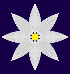 White flower image