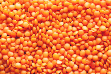 Red lentil texture closeup macro shot