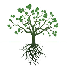 Green Tree and Roots. Vector Illustration.