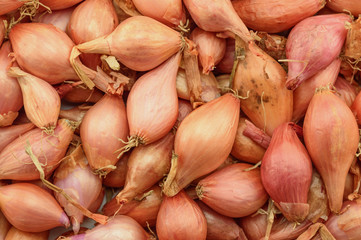 Onion seeds. Background