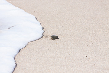 Einsam am Strand, obwohl nur ein Stein, oder?