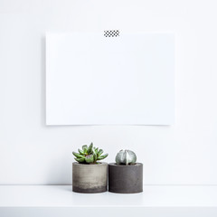 Mock-up. SCANDINAVIAN HOME. Succulents with paper on the wall. 