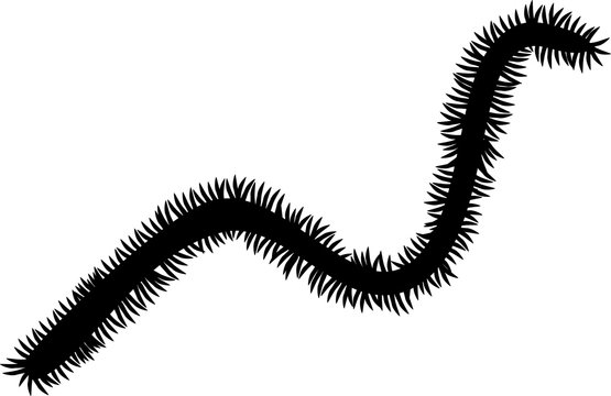 silhouette of polychaete
