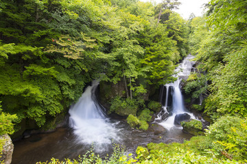 Fototapeta na wymiar 日本の観光地の滝、奥日光　竜頭の滝の紅葉。