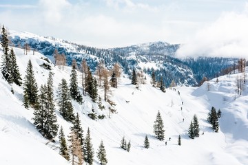 Winter landscape with a group of skiiers.