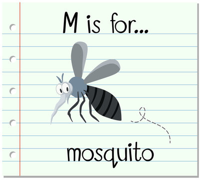  Flashcard letter M is for mosquito