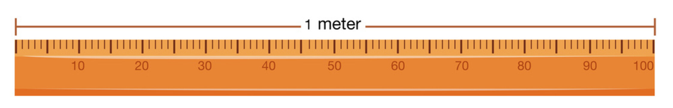 Wooden ruler with measurement in meter
