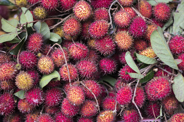 fresh rambutans at market stall