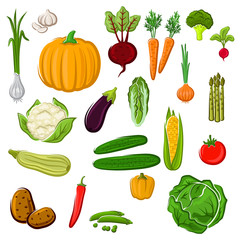 Farm vegetables for agriculture design