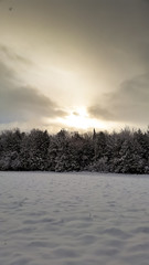 Obraz na płótnie Canvas Rural Winter Countryside View
