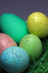 Pastel Eggs on background