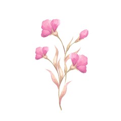Fototapeta premium Watercolor background with flowers 4