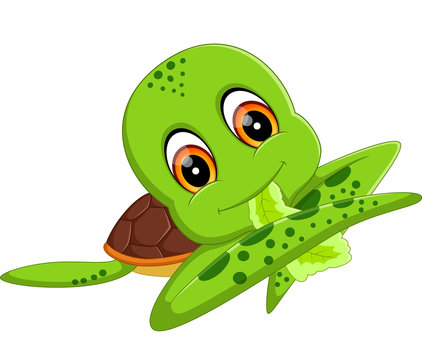 illustration of Cute turtle cartoon