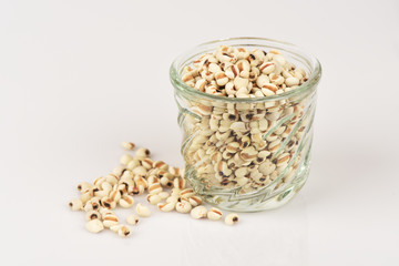 Millet rice, millet grains has medicinal properties and clean food for healthy.