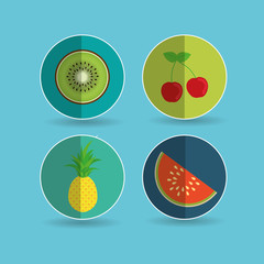 fruit over circle  design, vector illustration