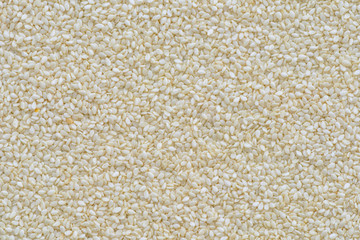 White sesame seed background or texture