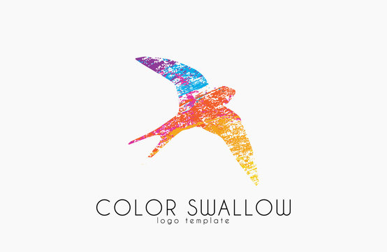 Swallow logo. Color swallow logo design. Bird logo design