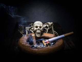 Still life skull and cigarette smoke.