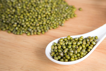spoon of green bean seed in front of a blurry pile of green bean