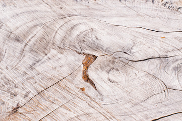  wooden core structure for a background