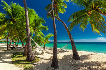 Empty hammock in the shade of palm trees on tropical Fiji Island