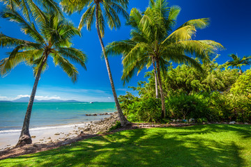 Rex Smeal Park in Port Douglas with palm trees and beach - obrazy, fototapety, plakaty