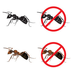 Ant and Stop ant sign symbols vector design