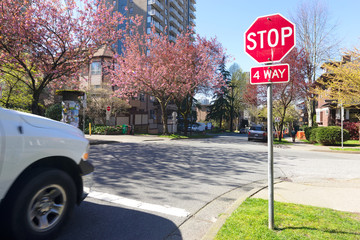 the image of stop sign - Powered by Adobe
