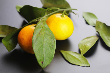 mandarin fruit isolate black