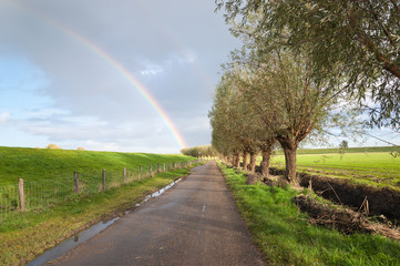Rural landscape with a country road and a rainbow