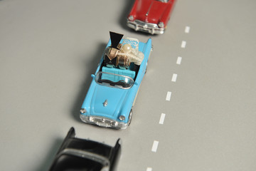 gold wedding rings lie in the small blue toy car
