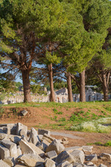 Ruins of ancient Ephesus Turkey