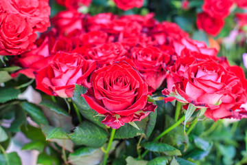 Flower Rose Marketplace