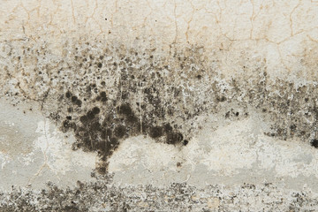 Grunge wall texture background.