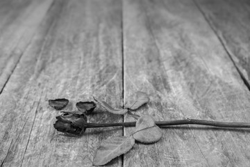 Dried roses on a wooden table