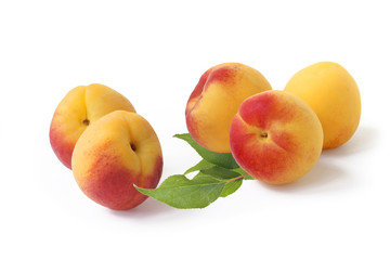 Fototapeta na wymiar Apricots with sprig isolated on white