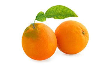 Two ripe oranges with leaf isolated on white