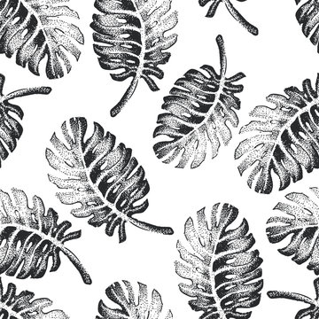  Palm Tree Sketch Pattern