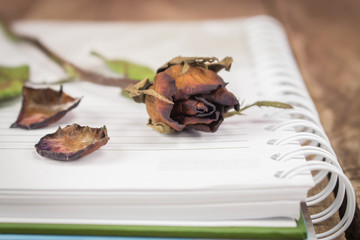 Closeup dried red rose with white note paper on concrete floor t