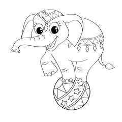 Naklejka premium Funny cartoon circus elephant balancing on ball. Black and white vector illustration for coloring book