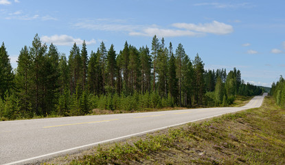 Naklejka premium Road in hills. Northern Finland, Lapland