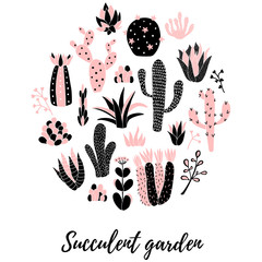 cactus circle © los_ojos_pardos