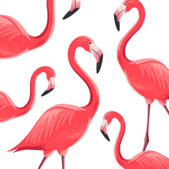 Vector Illustration of an Abstract Background with Flamingos