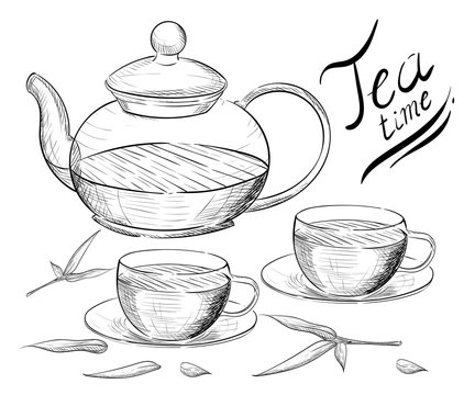 Tea collection. Hand draw vector illustration. Tea time. tea cup, teapot