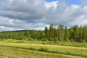 Rural landscape. Northern Finland, Lapland
